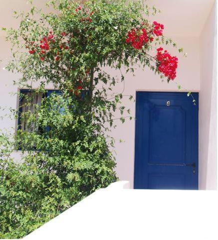 Fragokastello Star Apartment Frangokastello Стая снимка