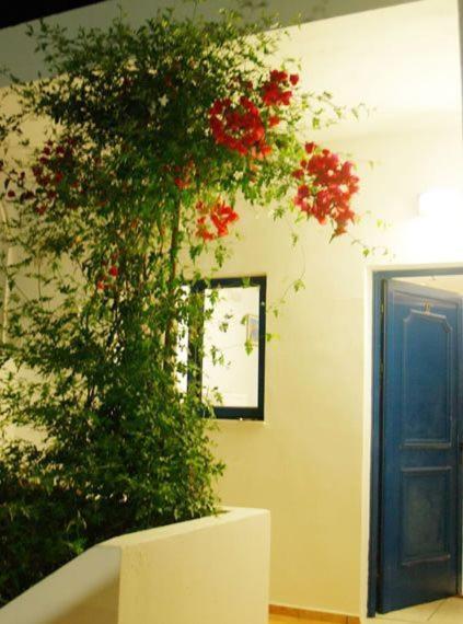 Fragokastello Star Apartment Frangokastello Екстериор снимка