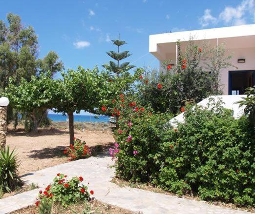 Fragokastello Star Apartment Frangokastello Екстериор снимка